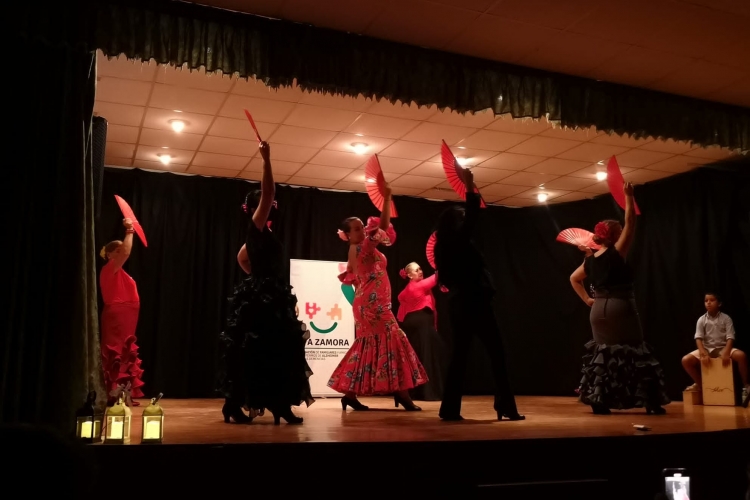 LA BÓVEDA DE TORO SE VUELCA CON ALZHEIMER ZAMORA EN SU FESTIVAL FLAMENCO